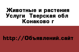 Животные и растения Услуги. Тверская обл.,Конаково г.